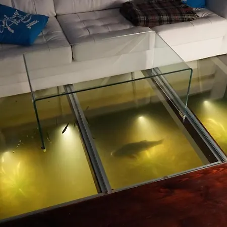 Dom Na Wodzie Nad Jeziorem Krzywe 别墅